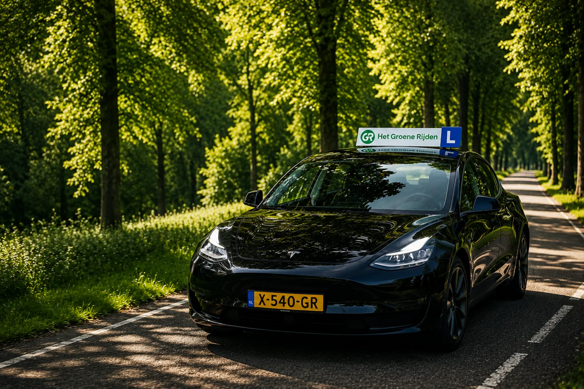 Tesla lesauto van rijschool Het Groene Rijden in Leiden op een lommerrijke laan